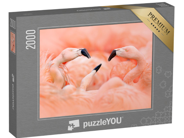 Puzzel 2000 stukjes „Roze flamingo's“