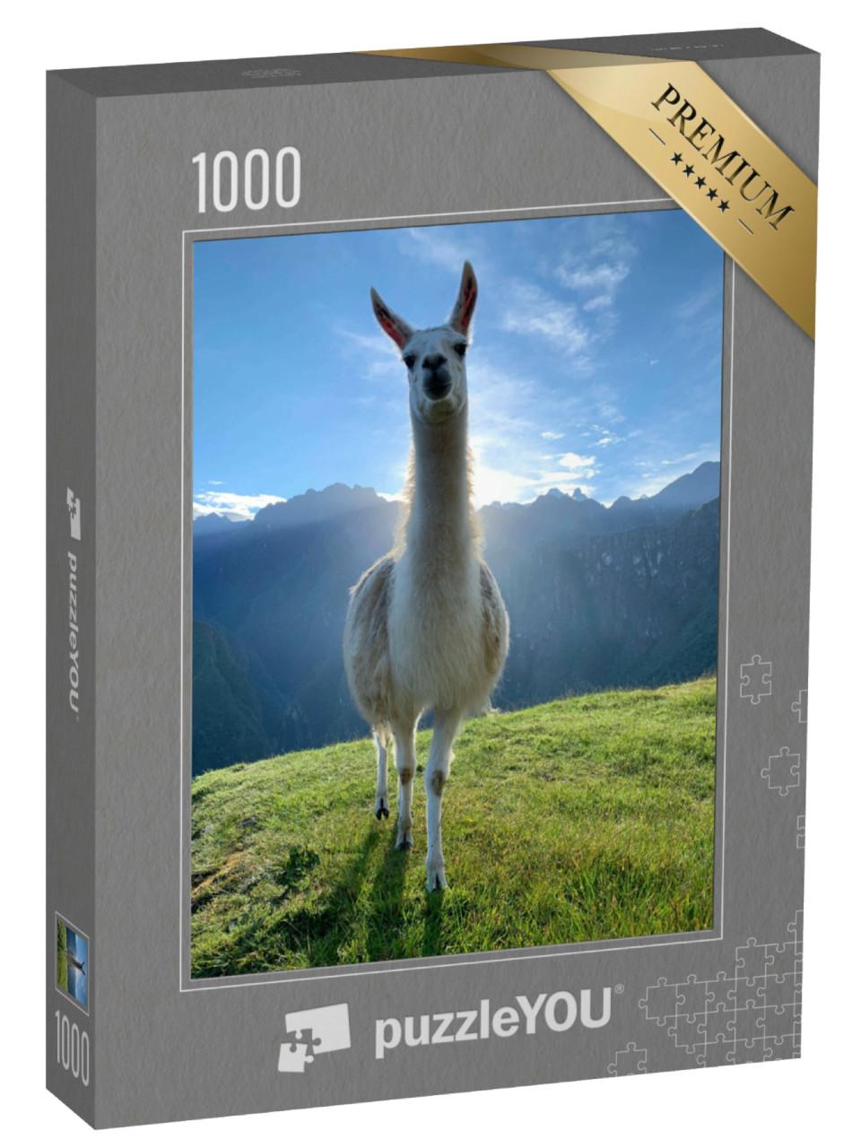 Puzzel 1000 stukjes „Witte lama in de Andes, Peru“