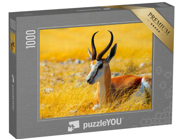 Puzzel 1000 stukjes „Middelgrote antilope: Springbok in hoog gras, Etosha National Park, Namibië“