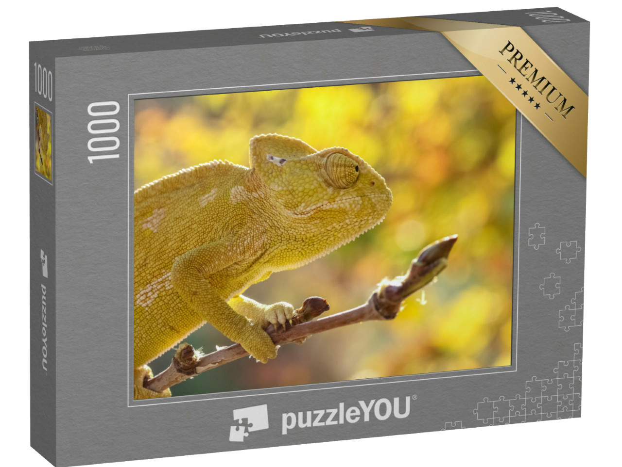 Puzzel 1000 stukjes „Gewone kameleon, Chamaeleo chamaeleon, Turkije“