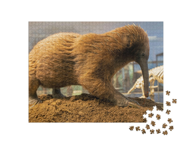 Puzzel 1000 stukjes „De Australische snavelmiereneter, stekelmiereneter“