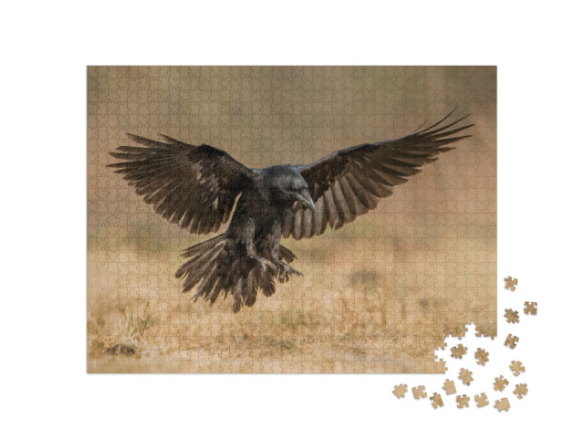 Puzzel 1000 stukjes „Raven in aantocht“