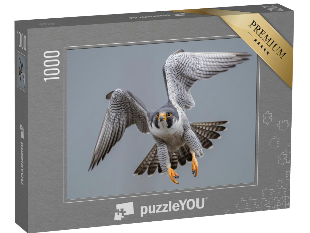 Puzzel 1000 stukjes „Slechtvalk tijdens de vlucht“