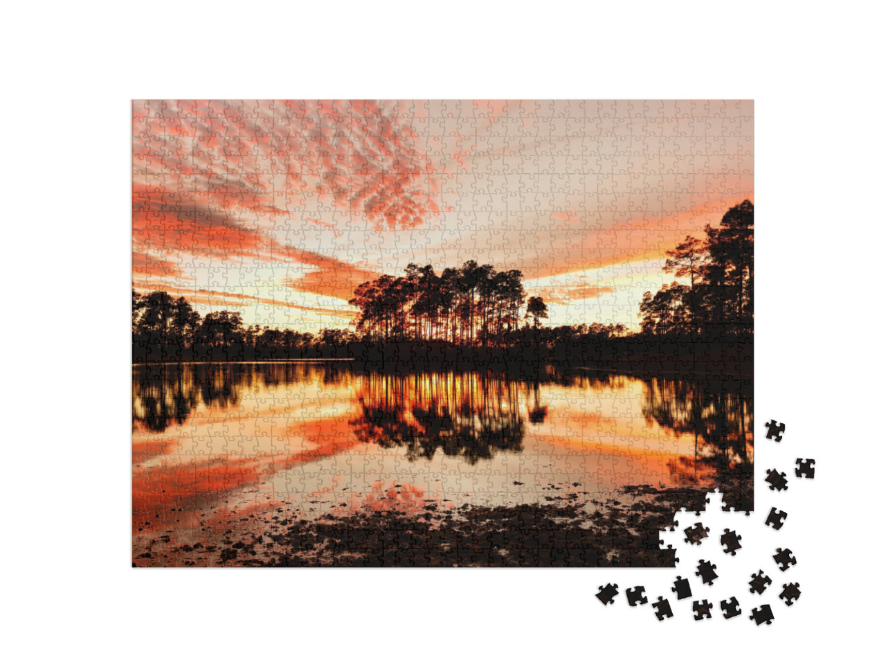 Puzzel 1000 stukjes „Long Pine Key meer, nationaal park Everglades, Florida“