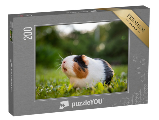 Puzzel 200 stukjes „Cavia's op een weiland“