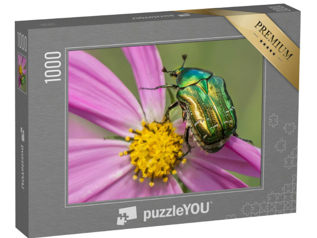 Puzzel 1000 stukjes „Mooie gouden kever op een roze-gele bloem“
