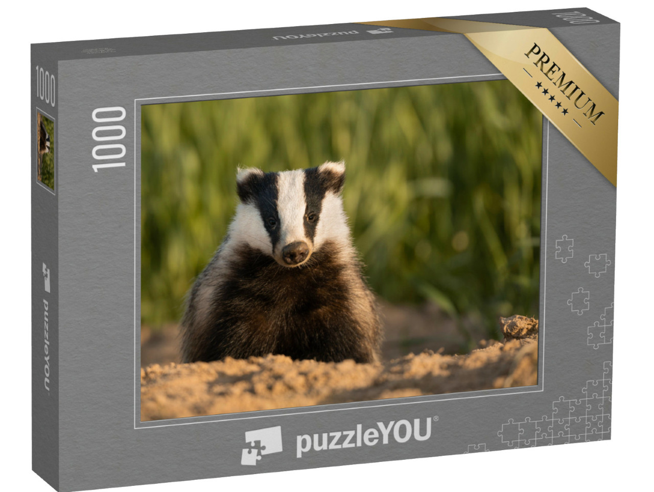 Puzzel 1000 stukjes „Europese das na het verlaten van het hol“
