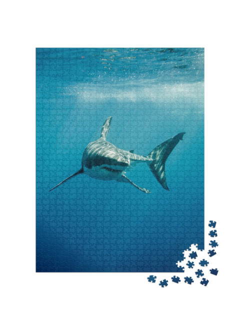 Puzzel 1000 stukjes „Grote witte haai in de blauwe oceaan“