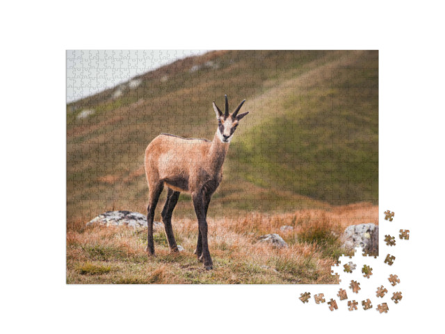 Puzzel 1000 stukjes „Gemzen in de bergen, Lage Tatra, Slowakije“