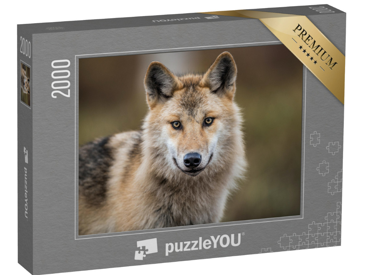 Puzzel 2000 stukjes „Portret van een grijze wolf, ook bekend als houtwolf“