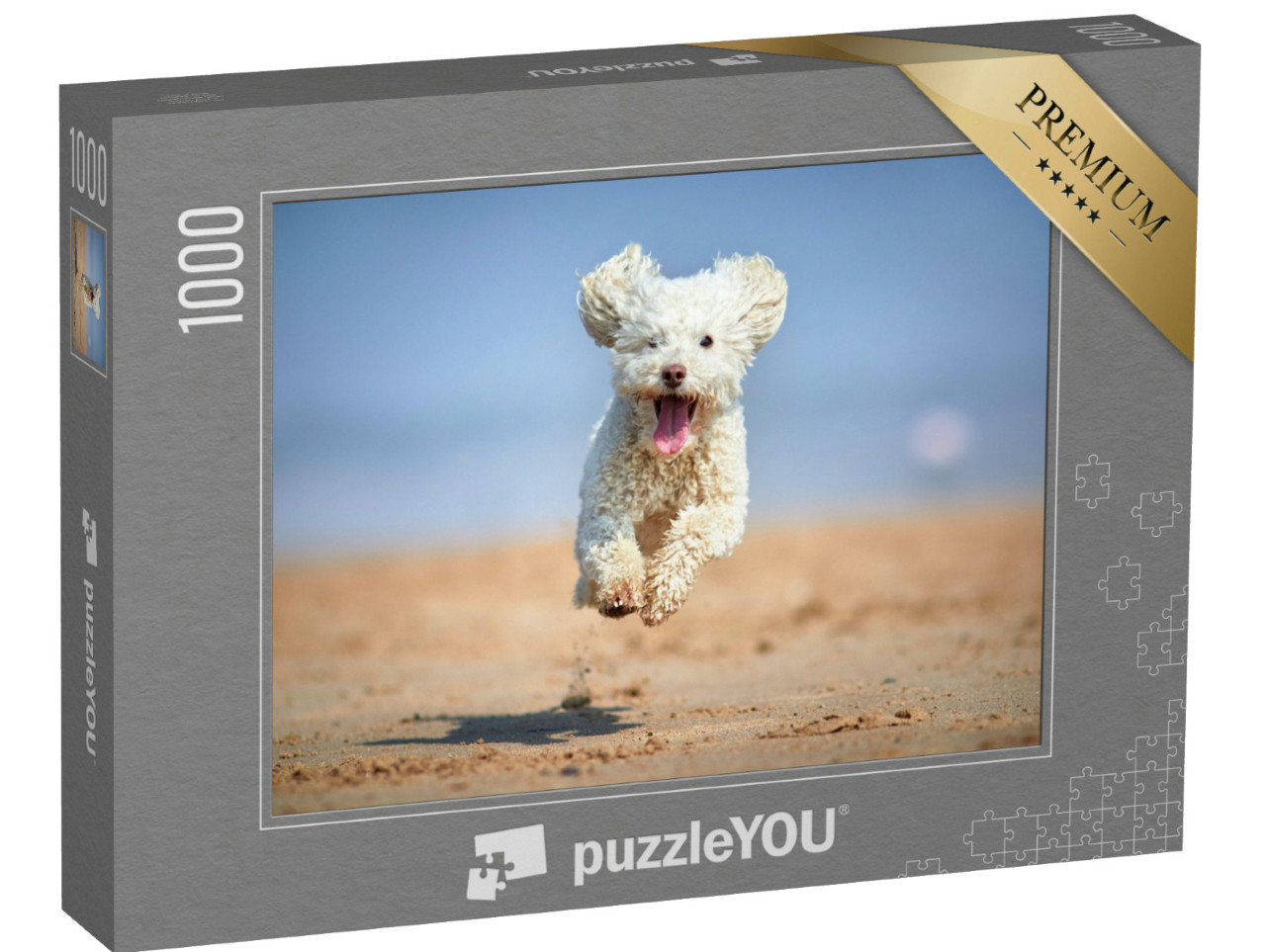Puzzel 1000 stukjes „Dwergpoedel in volle ren op het strand“