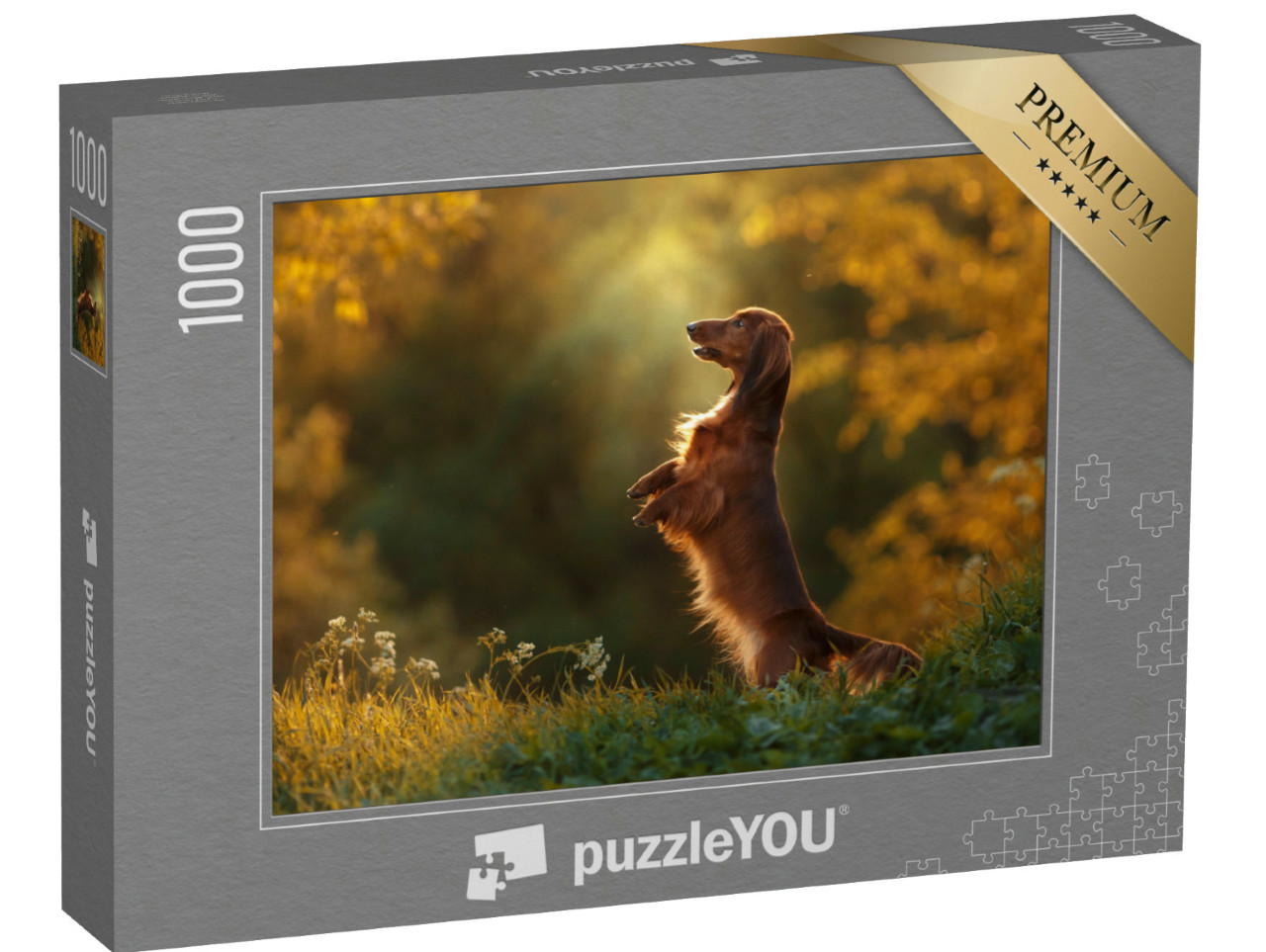 Puzzel 1000 stukjes „Een teckel tijdens een avondwandeling“