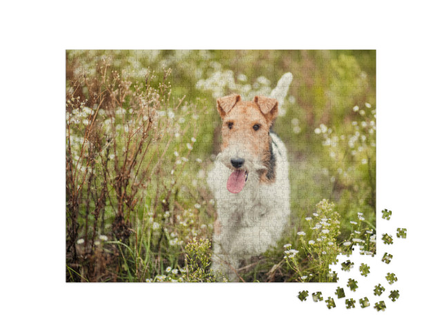 Puzzel 1000 stukjes „Fox Terrier in de natuur“