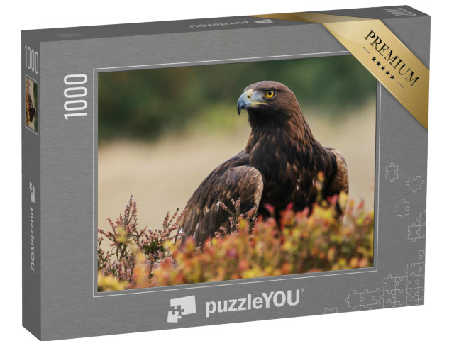 Puzzel 1000 stukjes „Een steenarend kijkt rond“