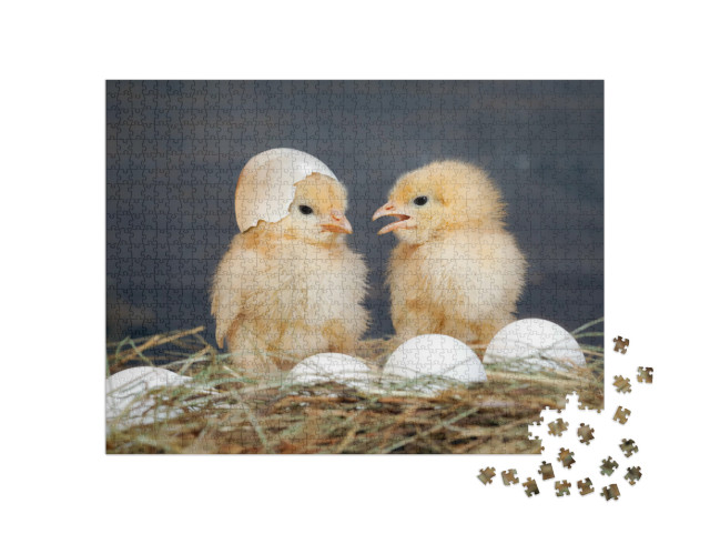 Puzzel 1000 stukjes „Pasgeboren kuikens“