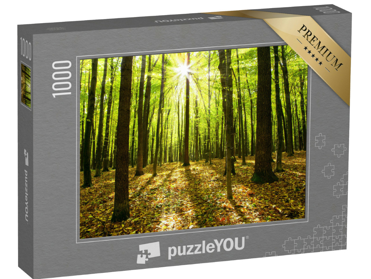 Puzzel 1000 stukjes „Herfstbos met bomen en zonlicht“