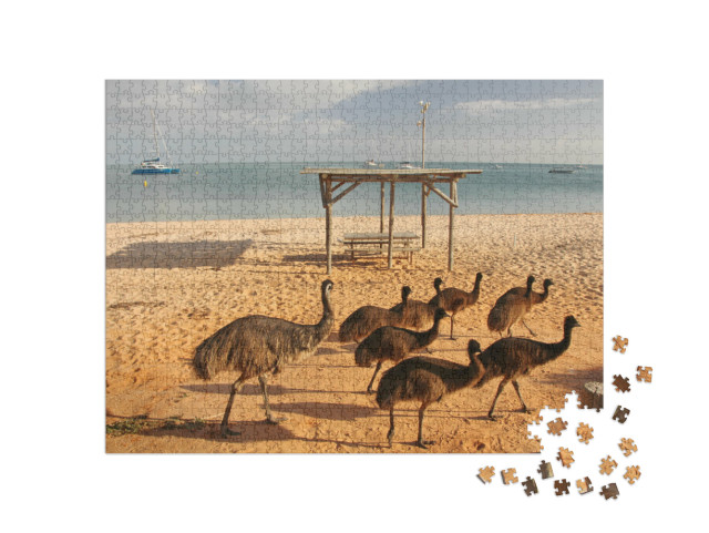 Puzzel 1000 stukjes „Emoes op het strand in West-Australië“