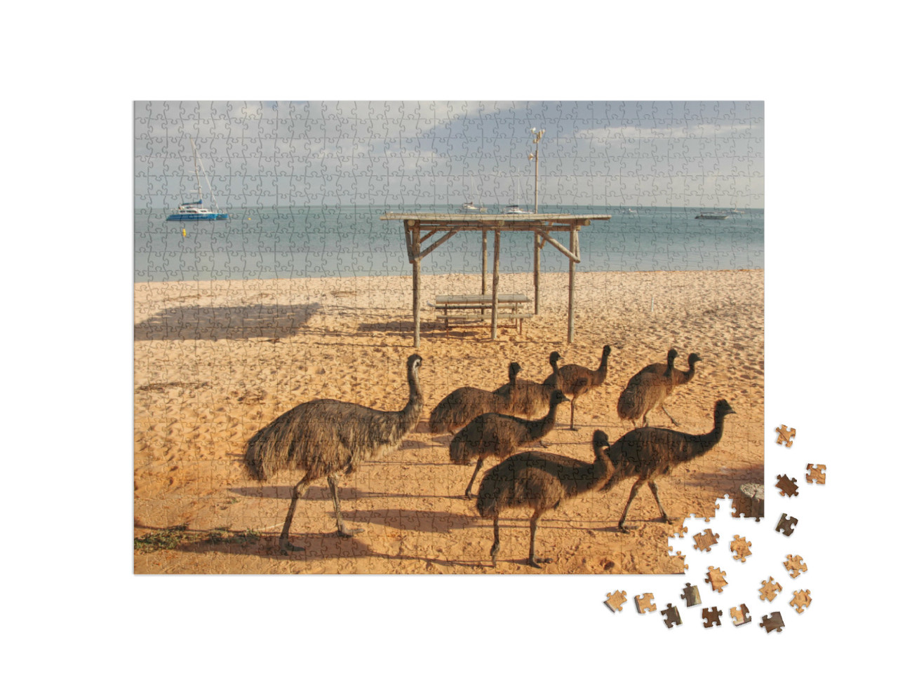 Puzzel 1000 stukjes „Emoes op het strand in West-Australië“