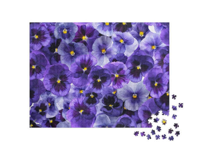 Puzzel 1000 stukjes „Verse paarse viooltjesbloemen“