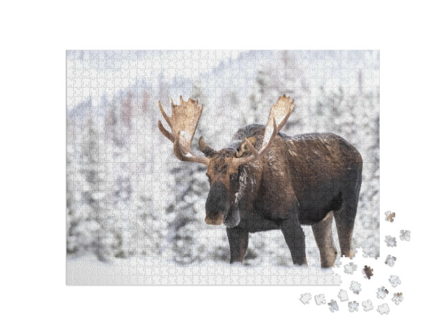 Puzzel 1000 stukjes „Elanden in de sneeuw in Jasper, Canada“