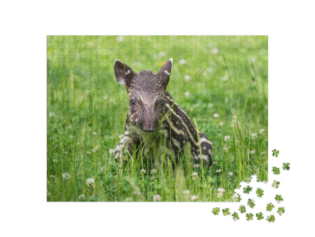 Puzzel 1000 stukjes „Baby van de bedreigde tapir“