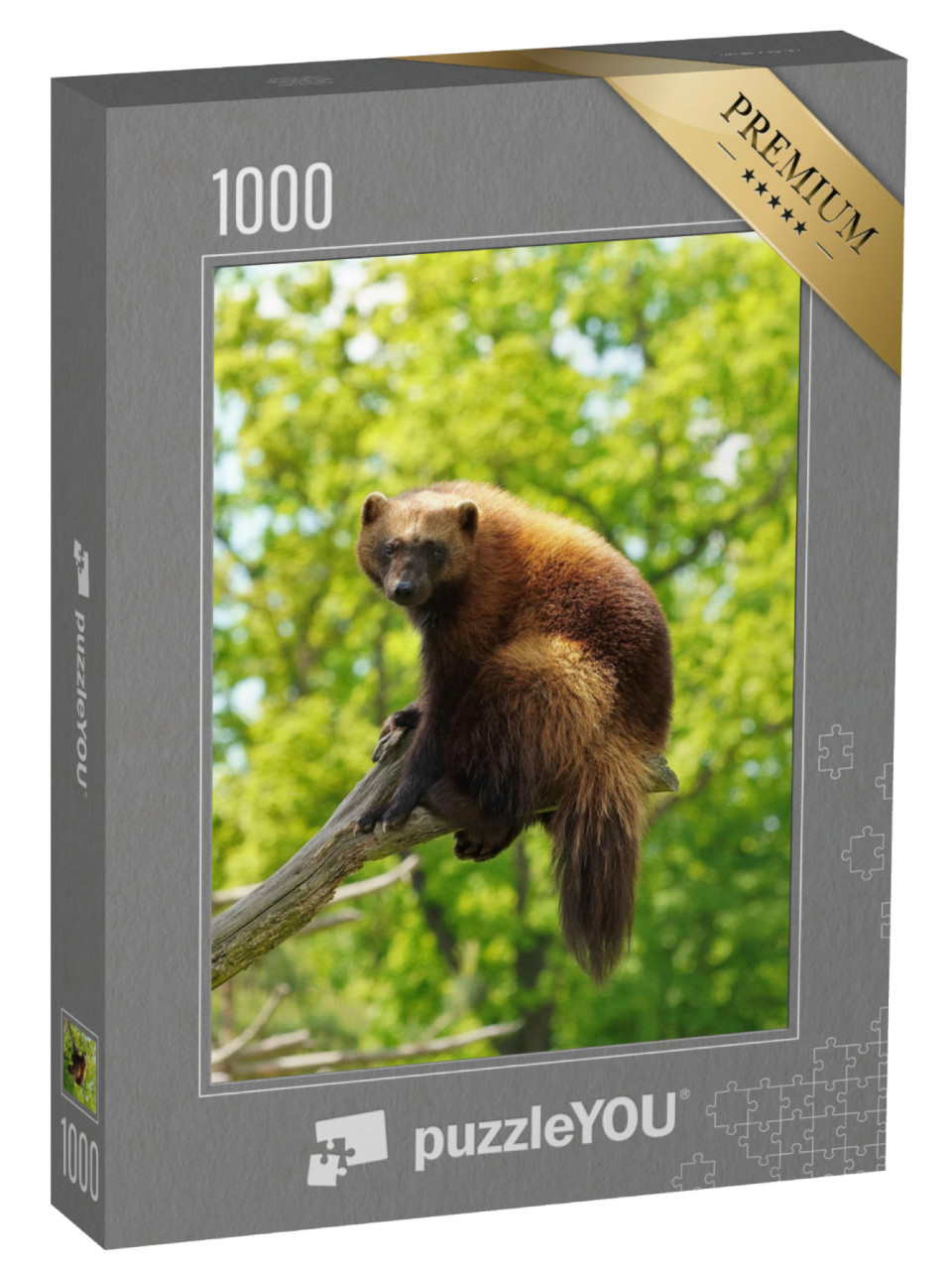 Puzzel 1000 stukjes „Een veelvraat rust hoog op een tak“