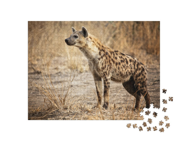 Puzzel 1000 stukjes „Hyena in het Luangwa National Park in Zambia“