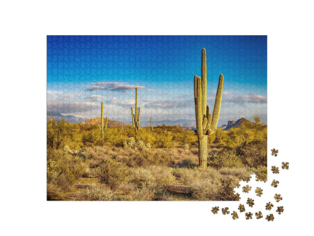 Puzzel 1000 stukjes „Cactussen in een wild landschap“