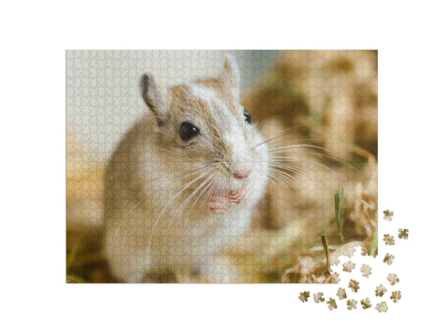 Puzzel 1000 stukjes „Een Mongoolse gerbil knabbelt aan zijn maaltijd“
