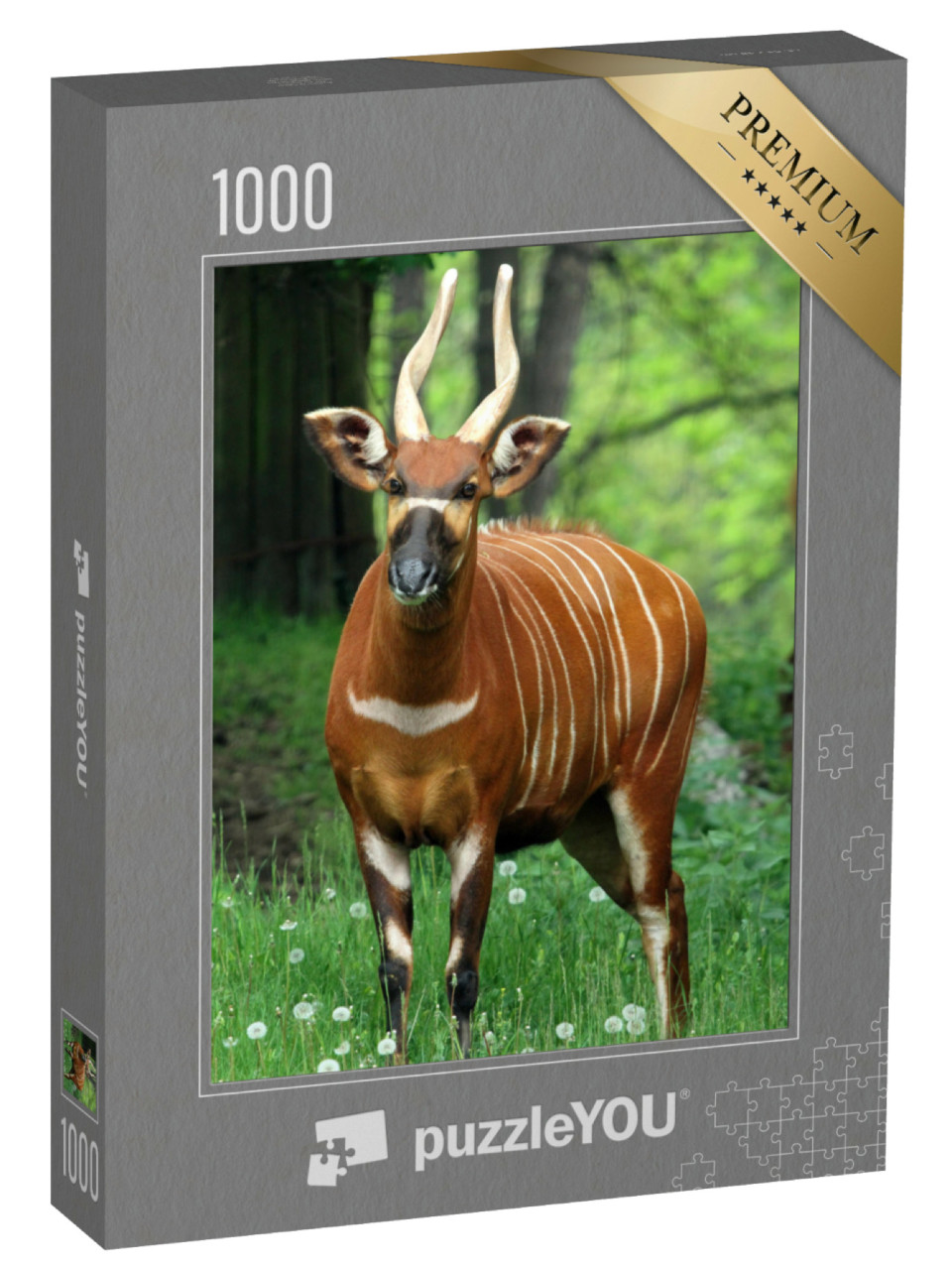 Puzzel 1000 stukjes „Een vrouwelijke bergbongo“