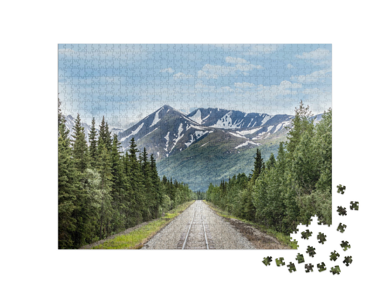 Puzzel 1000 stukjes „Spoorlijn in Denali National Park, Alaska“