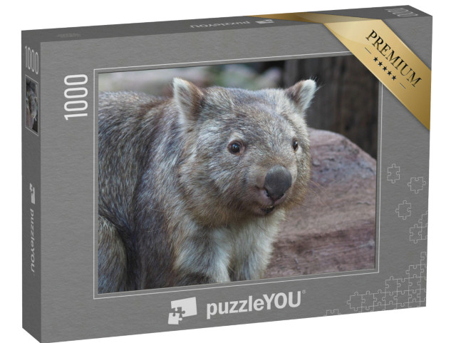 Puzzel 1000 stukjes „Wombat, inheems in Australië“