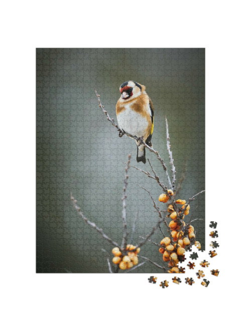 Puzzel 1000 stukjes „De distelvink, een zangvogel“