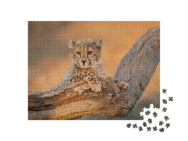 Puzzel 1000 stukjes „Jachtluipaarden op een tak in het Krugerpark, Zuid-Afrika“