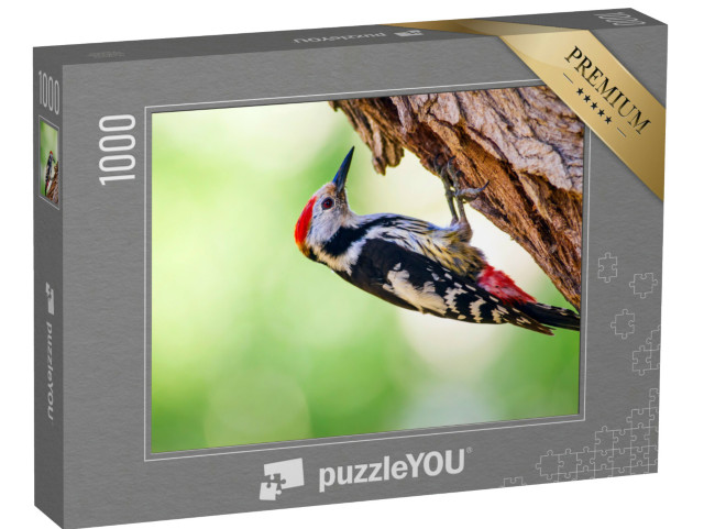 Puzzel 1000 stukjes „Een specht op een boom“