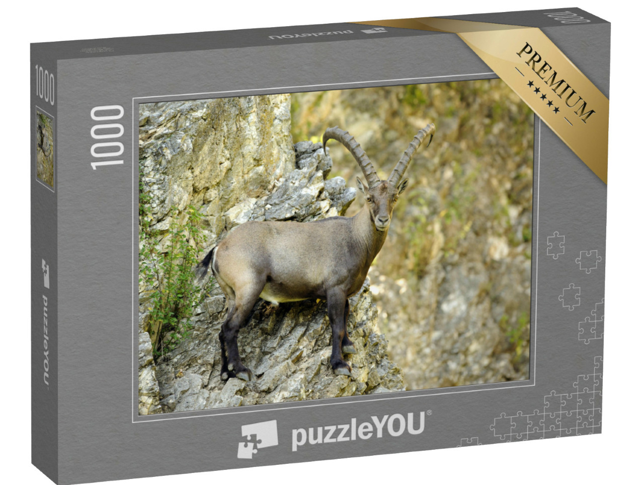 Puzzel 1000 stukjes „Steenbok staand op een rotswand“