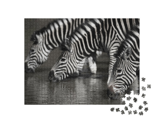 Puzzel 1000 stukjes „Kudde zebra's bij een waterpoel, Zuid-Afrika“