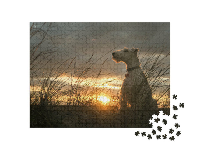 Puzzel 1000 stukjes „Draadharige foxterriër in de zonsondergang“
