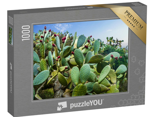 Puzzel 1000 stukjes „Cactusveld bij Mexico-stad“