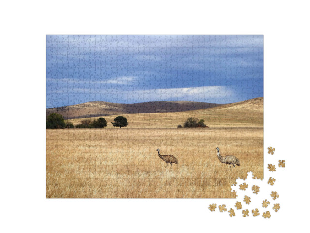Puzzel 1000 stukjes „Emoes in Zuid-Australië“