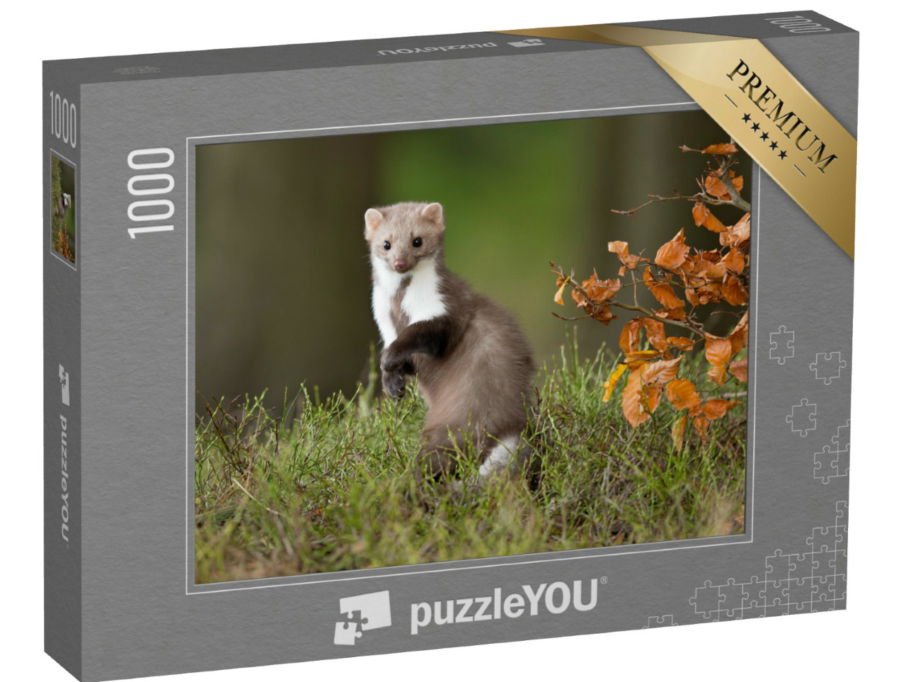 Puzzel 1000 stukjes „Europese boommarters in hun natuurlijke habitat“