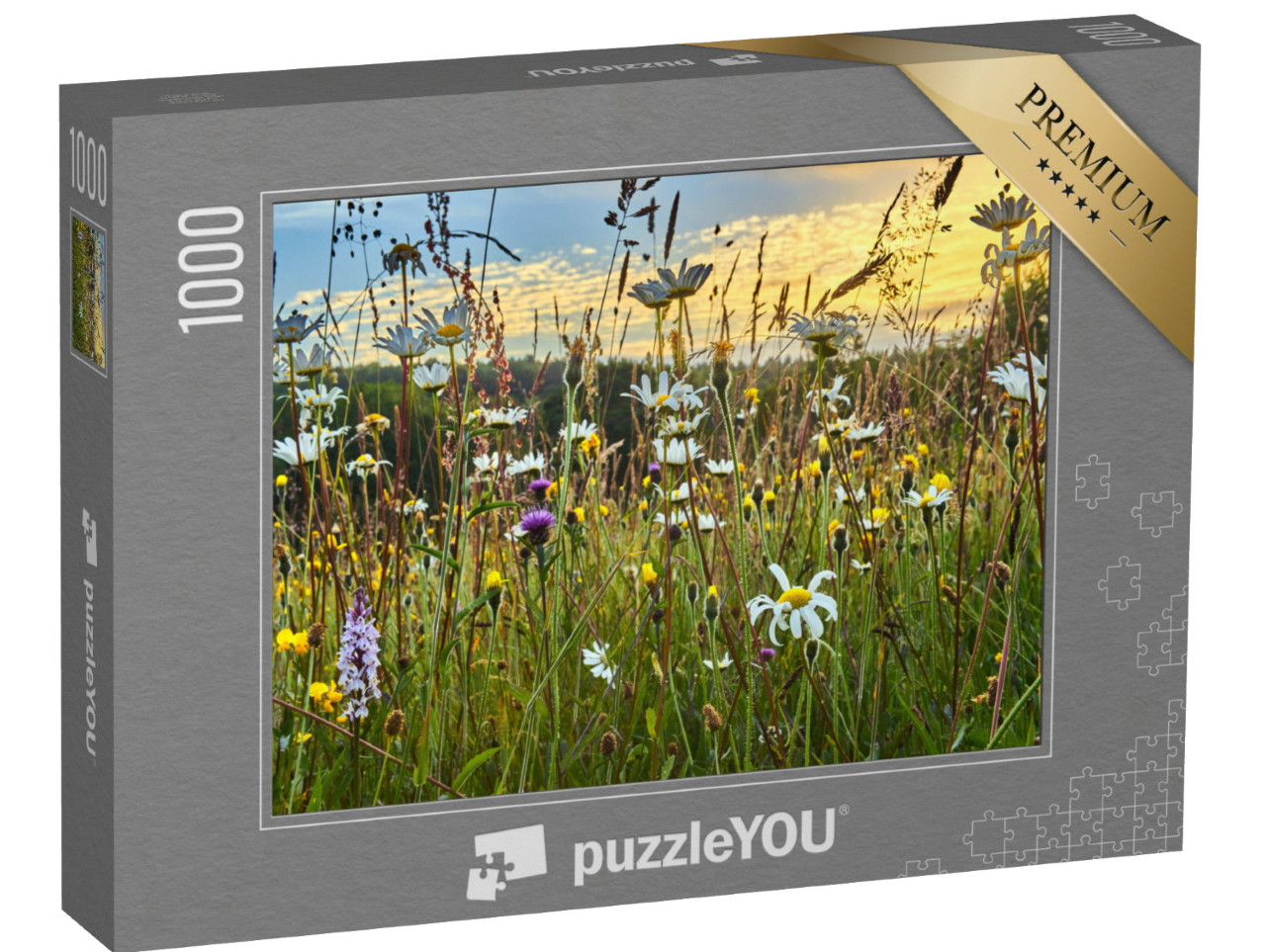 Puzzel 1000 stukjes „Een hooiland met wilde bloemen in de zomer“