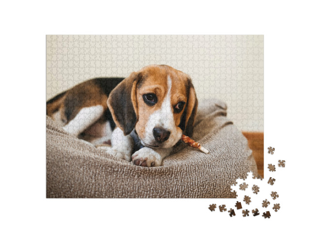 Puzzel 1000 stukjes „Een beagle met een traktatie“