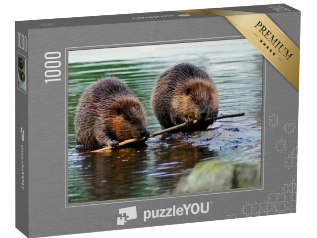 Puzzel 1000 stukjes „Een paar bevers“