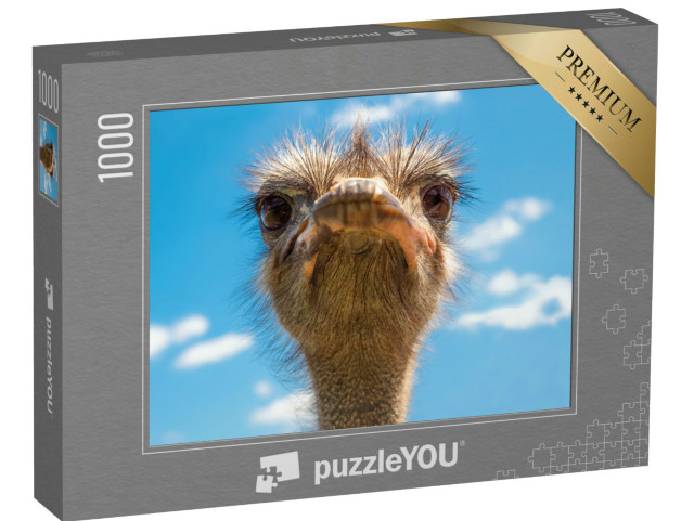 Puzzel 1000 stukjes „Portret van struisvogelkop, Afrikaanse struisvogel“