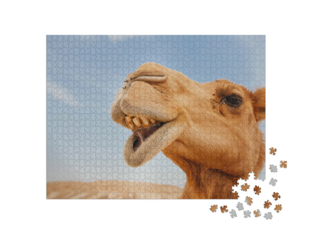 Puzzel 1000 stukjes „Grappige close-up van een kameel“
