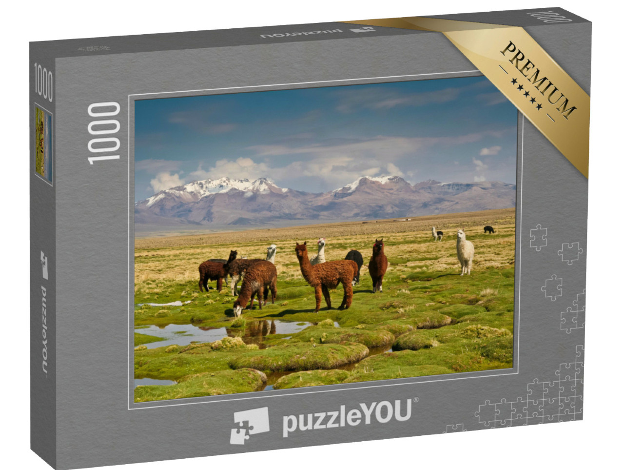 Puzzel 1000 stukjes „Lama's in de Andes“