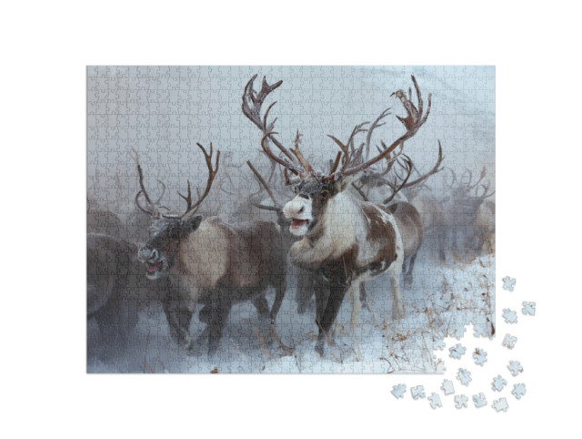 Puzzel 1000 stukjes „Kudde rendieren in de sneeuw“