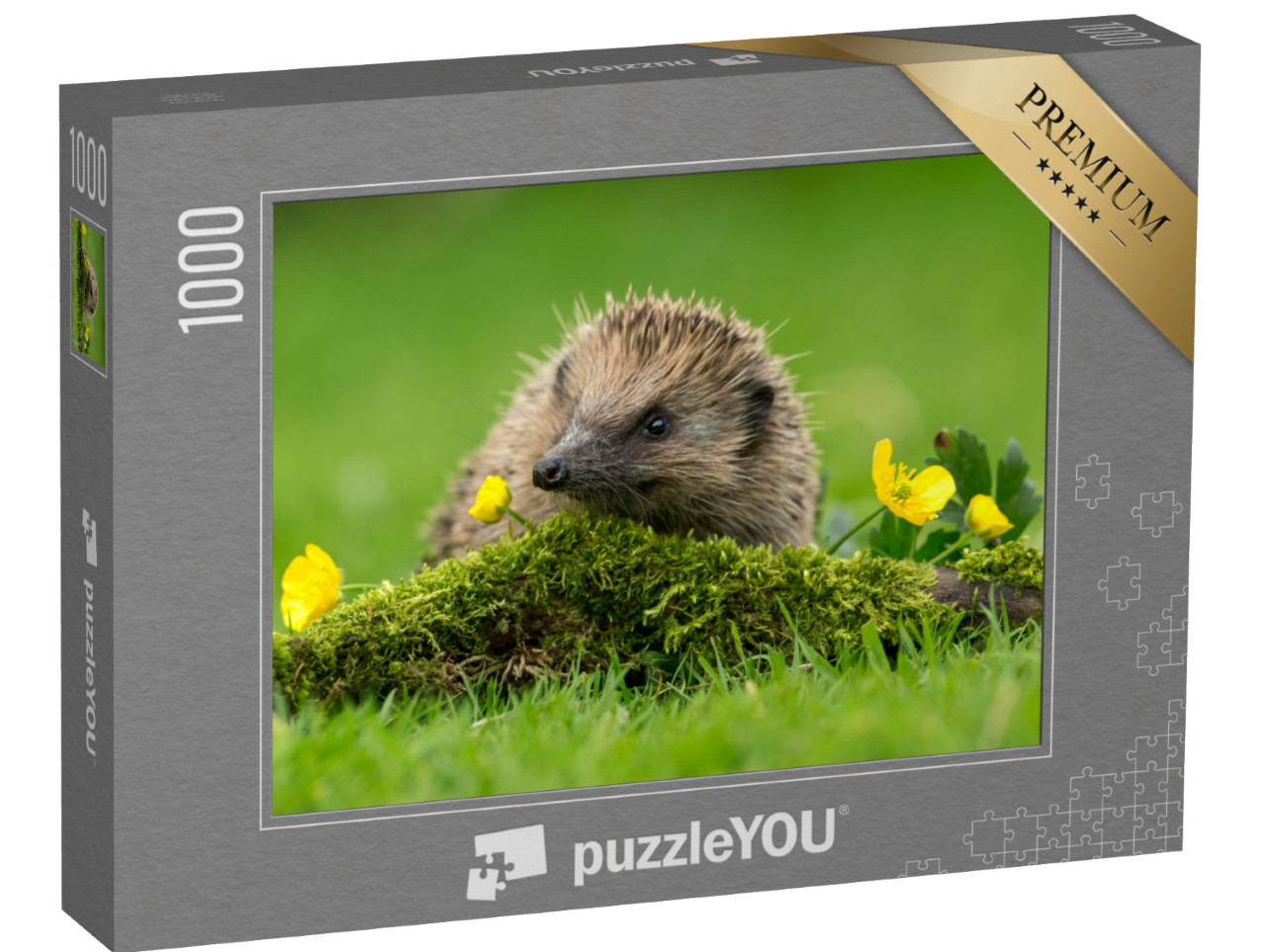 Puzzel 1000 stukjes „Een kleine egel op een groene mosheuvel“