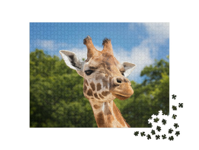 Puzzel 1000 stukjes „Nieuwsgierige giraffe“
